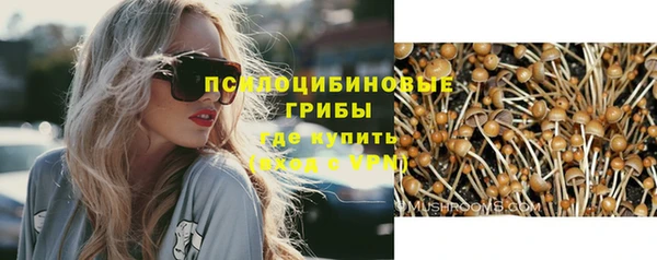ГАЛЛЮЦИНОГЕННЫЕ ГРИБЫ Балахна