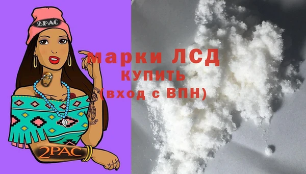 ГАЛЛЮЦИНОГЕННЫЕ ГРИБЫ Балахна