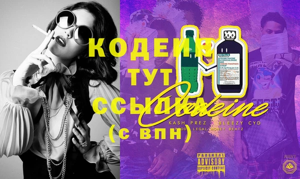 ГАЛЛЮЦИНОГЕННЫЕ ГРИБЫ Балахна