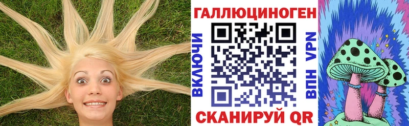 Псилоцибиновые грибы Psilocybine cubensis  Ставрополь 